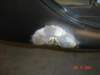 vw02689_small.jpg