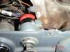 fordtrk08567_small.jpg