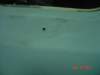 fordtrk08618_small.jpg