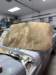 fordtrk9605_small.jpg