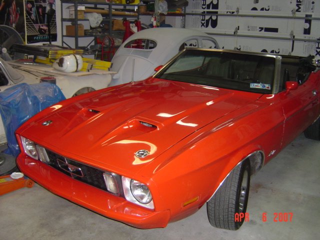 yannimustang03596.jpg