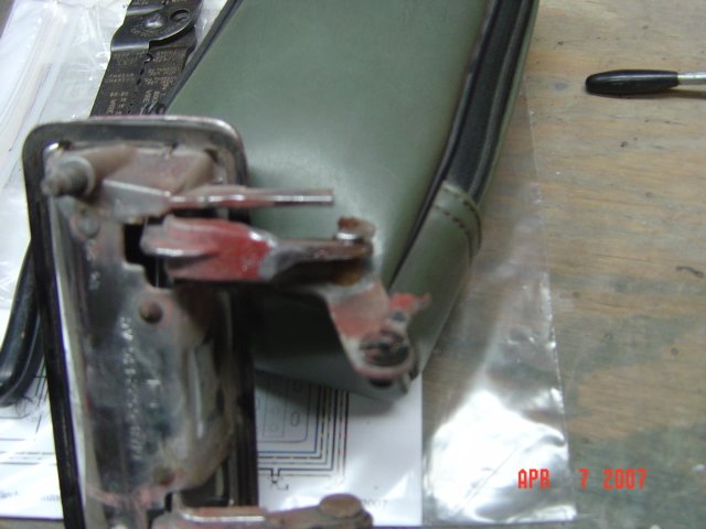 yannimustang03600.jpg