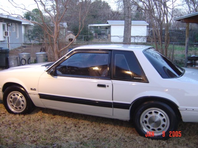 mustang01597.jpg