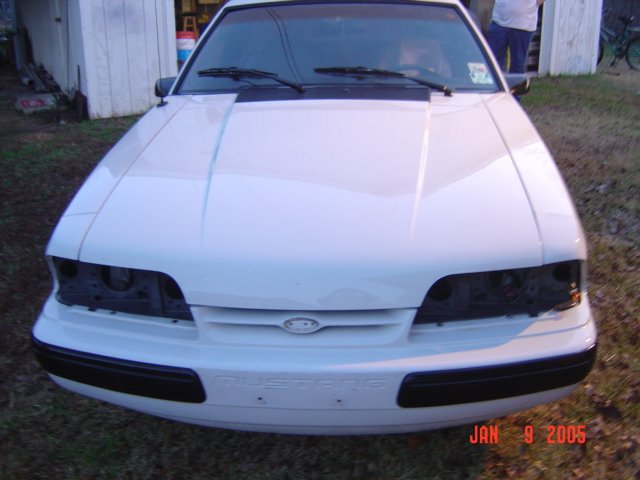 mustang01599.jpg