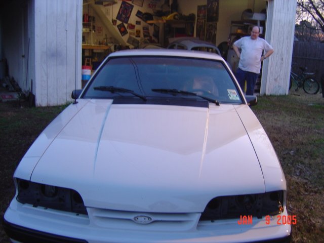 mustang01600.jpg