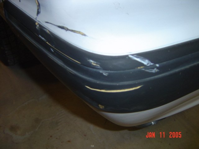 mustang01605.jpg