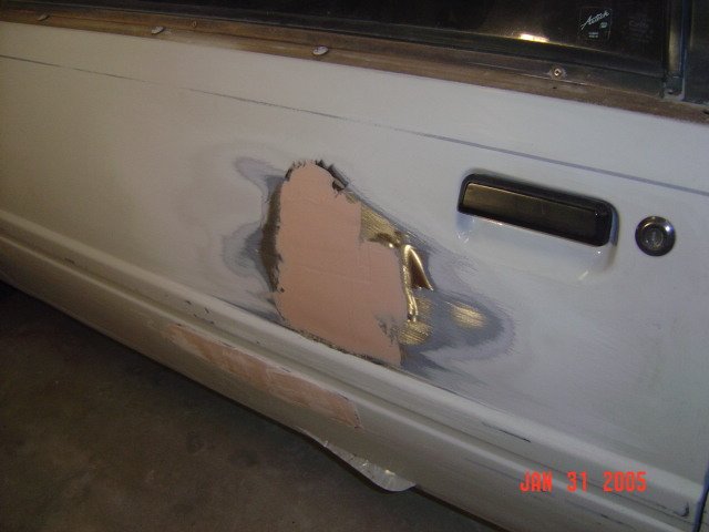 mustang01632.jpg
