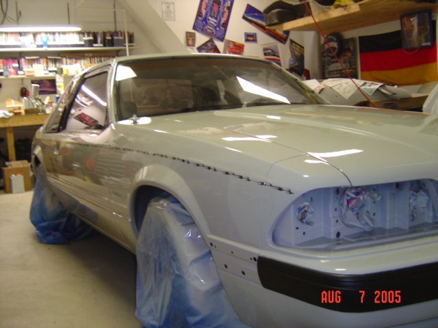 mustang02406.jpg