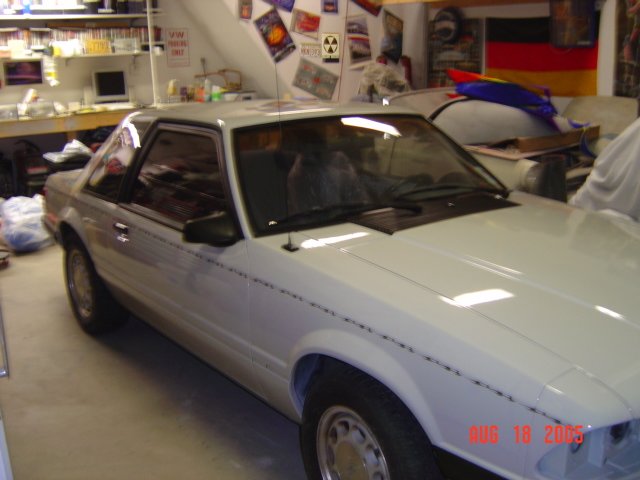 mustang02411.jpg