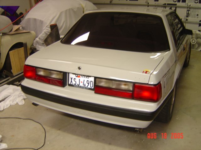 mustang02413.jpg