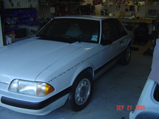 mustang02443.jpg