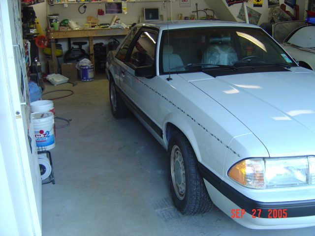 mustang02444.jpg