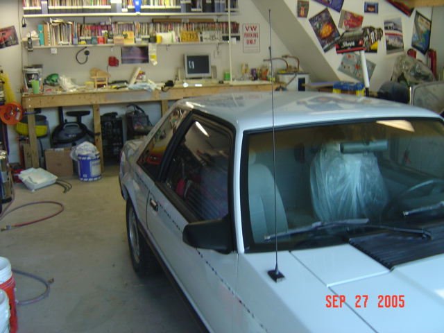 mustang02445.jpg