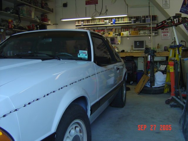 mustang02446.jpg