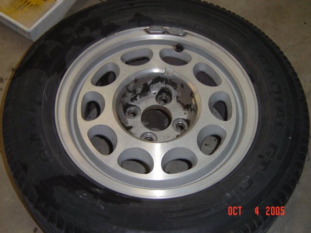 mustang02450.jpg