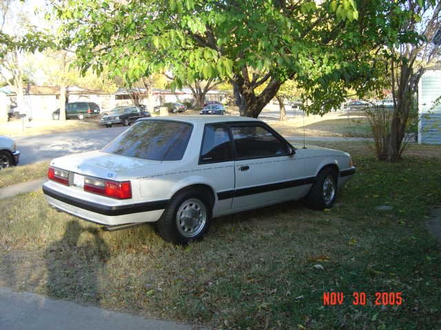 mustang02510.jpg