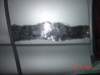 dmgtrk06190_small.jpg